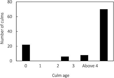 Age-Related Changes in Culm Respiration of Phyllostachys pubescens Culms With Their Anatomical and Morphological Traits